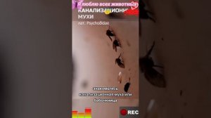 Животные-приколы и не только😉😅