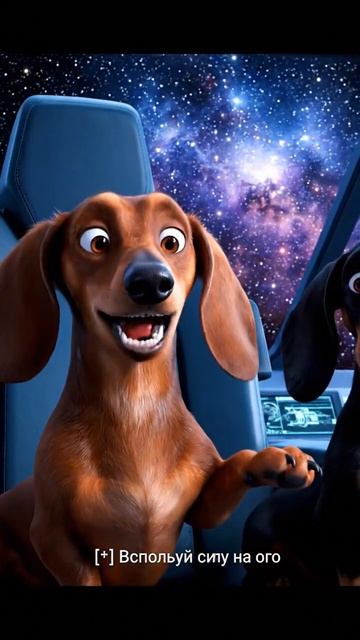 Как надо использовать силу #chihuahuafanclub #dogs смотреть онлайн