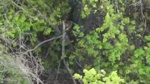 💥☠️Подборка уничтожения живой силы ВСУ от гвардейцев-разведчиков 14 бригады спецназа