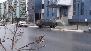 «МИМОХОДОМ», 26 мая 2010 год. Автор проекта О. Дзиов