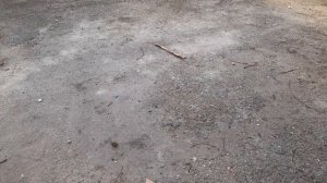 1000061991.mp4