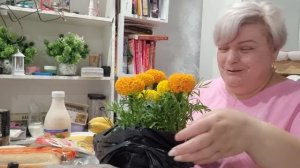 26-05-2026 РАСПАКОВОЧКА/БОЛТАЛОЧКА 🏵🏵🏵
