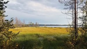 ТАЁЖНЫЕ ПРИКЛЮЧЕНИЯ В МЁРТВЫЙ СЕЗОН