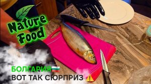 Жизнь в Болгарии. Почему не сразу получается???