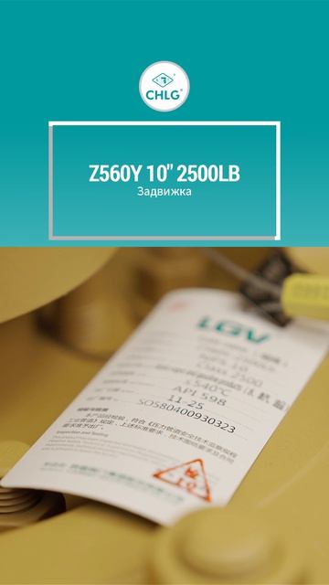Z560Y 10'' 2500LB Запорный затвор-CHLG