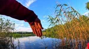 Рыбалка на карьерах и озёрах / Оренбург