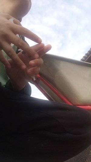 кимпинтяу