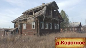 Деревни в глубинке России. Опустевшая деревня у леса. Здесь раньше кипела жизнь. Заброшенные дома.