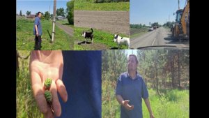 ВЛОГ/ПОЕЗДКА В ЛЕС /ПОРУГАЛИСЬ ПО ДОРОГЕ/ЗОНА ВЕСОВОГО КОНТРОЛЯ