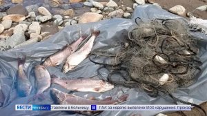 Транспортный кризис, опасный объект и краснокнижный улов: сводка происшествий по Кузбассу