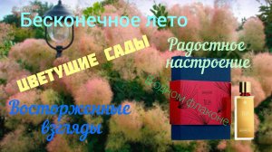 Бесконесное лето. Воображаемая звезда «ТИЛИЯ»