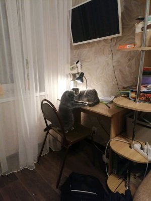 депортируюсь на луну