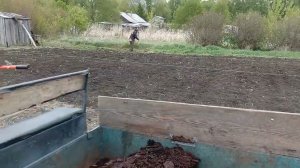 Завожу перегной на огород. Скашивание травы по краям огорода. 22.05.2026
