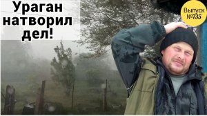Град и сильный ветер срывал шифер и рвал провода. Жизнь и будни в Омской деревне.