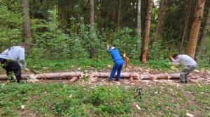10.05.26 ПОРУБАС #57 (2)