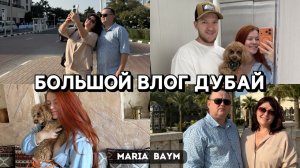 ПОЕЗДКА В ДУБАЙ 🇦🇪 БОЛЬШОЙ ВЛОГ