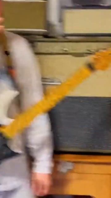 Dog Bites My Nose and BOLTS! #chihuahuafanclub #guitar смотреть онлайн