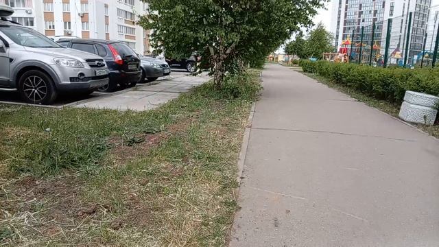 Слежу за своим другом на улице смотреть онлайн