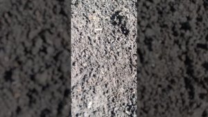 огород-2