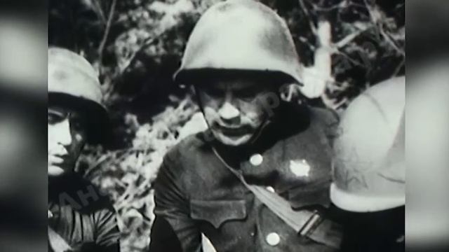 Оборона Ленинграда. Лето 1941 года
