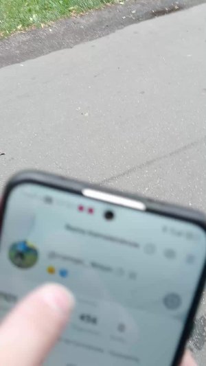 гуляем с романом лимончиком чееееееееееек