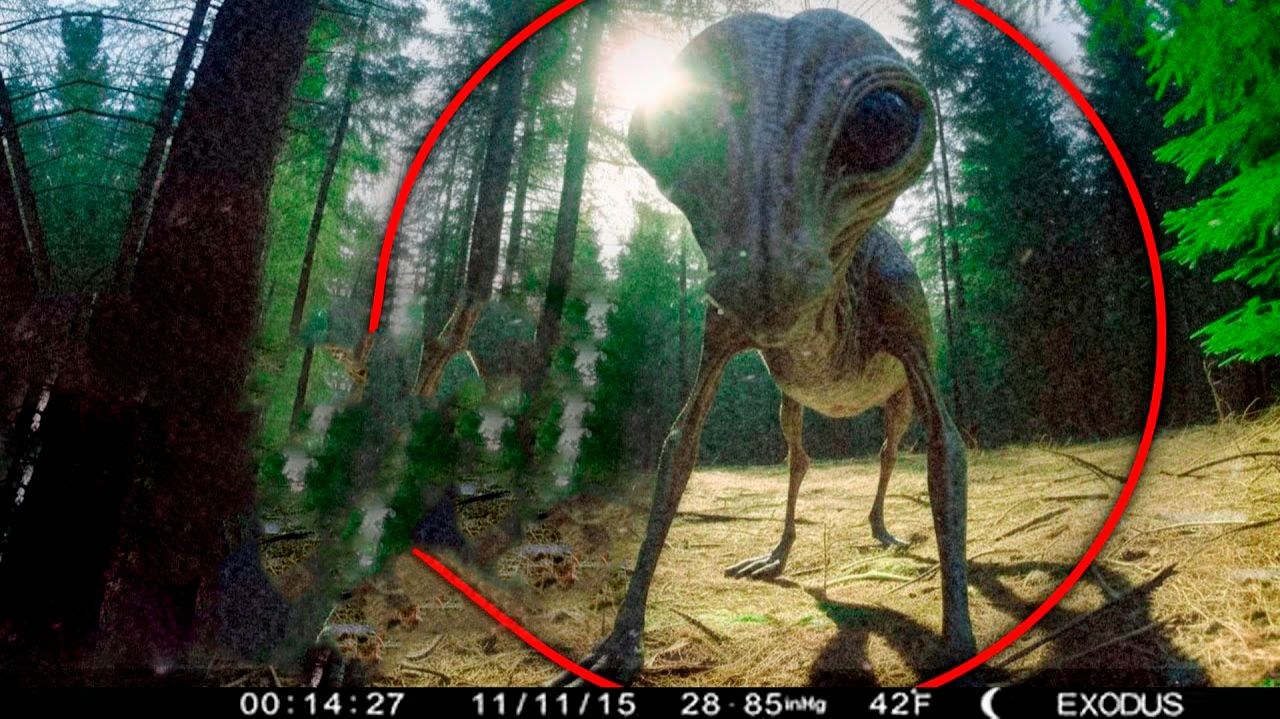УЧЕНЫЕ ТАК И НЕ СМОГЛИ ОБЪЯСНИТЬ ЭТИ ВИДЕО