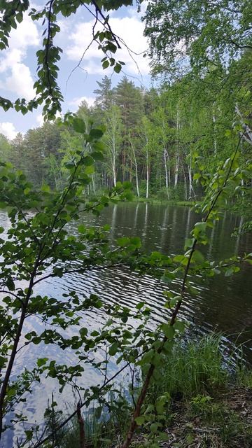 Пименов пруд смотреть онлайн