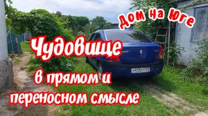 Чудовище в прямом и переносном смысле. Сад и огород.