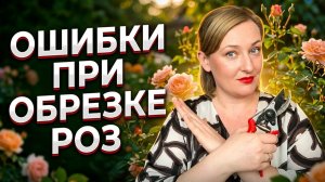 Как правильно обрезать розы: 5 критических ошибок обрезки.