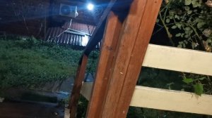 СОЧИ ГОРНОЕ ЛОО УТРО 26.05.2026