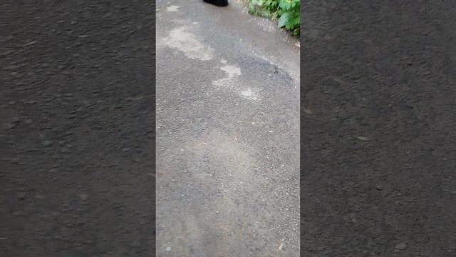 VID_20260526_135056.mp4 смотреть онлайн