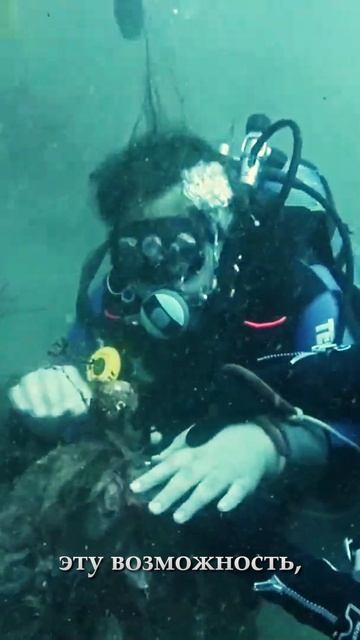 Первый в мире подводный парк для незрячих! 🌊 смотреть онлайн