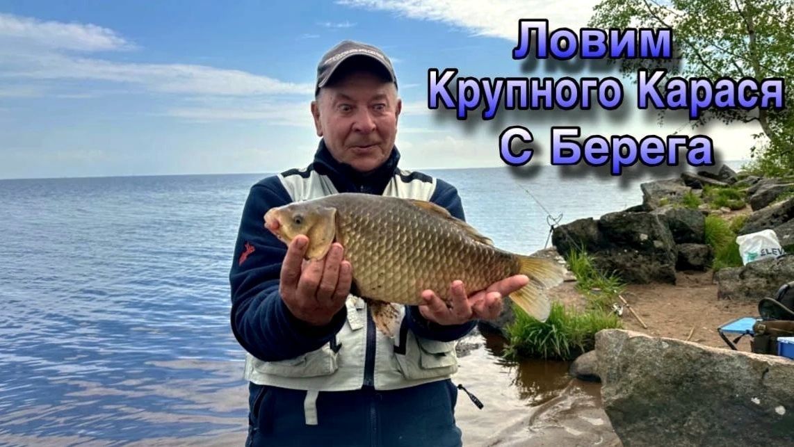 Рыбалка на Чёрной речке где ловятся Лещи горбатые и Караси мордатые. Зеленогорск. Финский залив. смотреть онлайн