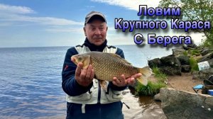 Рыбалка на Чёрной речке где ловятся Лещи горбатые и Караси мордатые. Зеленогорск. Финский залив.