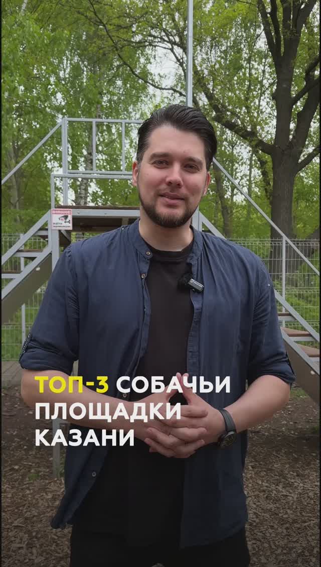 ТОП-3 площадок для выгула собак в Казани