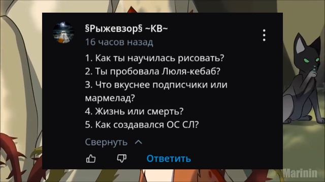 Вопрос-ответ|Ответы смотреть онлайн