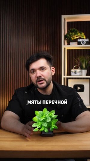 Топ-4 продукта для жкт