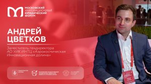 На полях XIII МИЮФ: Андрей Цветков