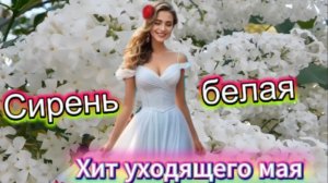 Хит уходящего мая! Сирень белая!