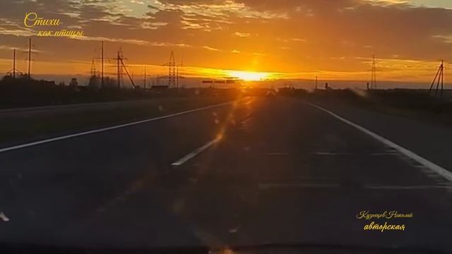 Стихи как птицы