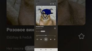 Песня Розовое вино Eldzhay & Feduk