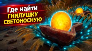 Где найти гнилушку светоносную в Subnautica 2