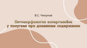 В.С. Чикунов «Патоморфология аспергиллёза у попугаев при домашнем содержании»