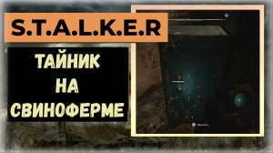 S.T.A.L.K.E.R.2 Сердце Чернобыля Как открыть двери к тайнику Свиноферма Кордон
