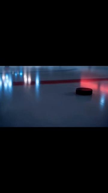 АБА НА ЛЬДУ 🐻🏒  Фанатская версия  #МеталлургНовокузнецк #Новокузнецк #Хоккей #Аба #ФанАрт