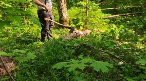 17.05.25 ПОРУБАС # 58 (4)