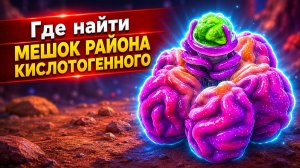 Где найти мешок района кислотогенного в Subnautica 2