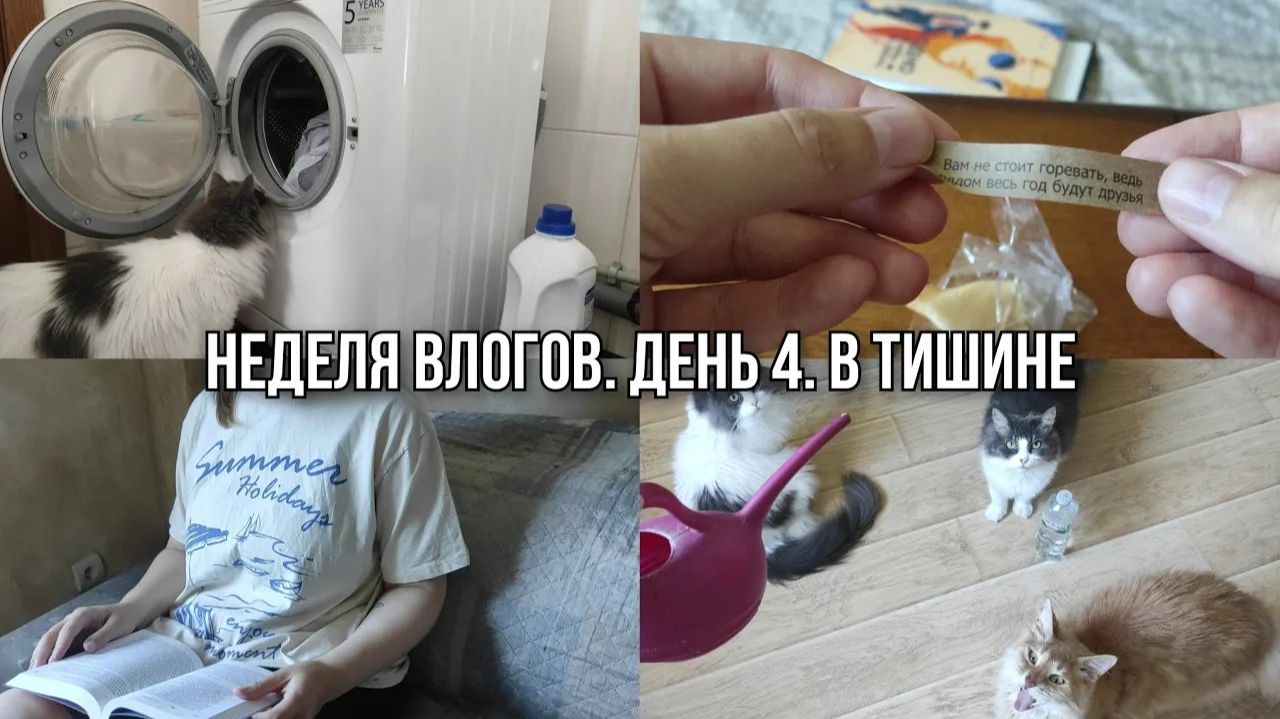 АРХИВ 2025 L тихий Vlog: домашние дела I жизнь без спешки I 19.08.2025