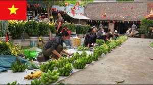 Традиционный вьетнамский рынок 🇻🇳 | Реальная утренняя жизнь в сельской местности Ханоя.