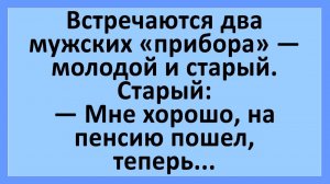 Встречаются два мужских «прибора» - молодой и старый... | Анекдоты смешные | Юмор